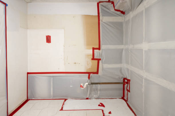 Best Mold Damage Restoration  in Morenci, MI