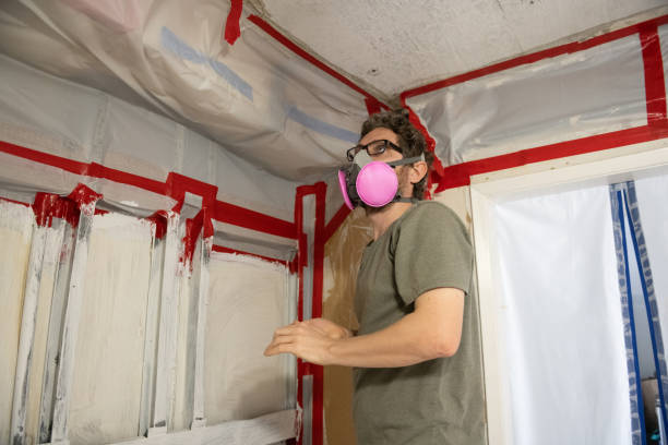 Best Emergency Mold Remediation  in Morenci, MI
