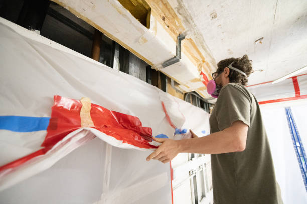  Morenci, MI Mold Removal Pros