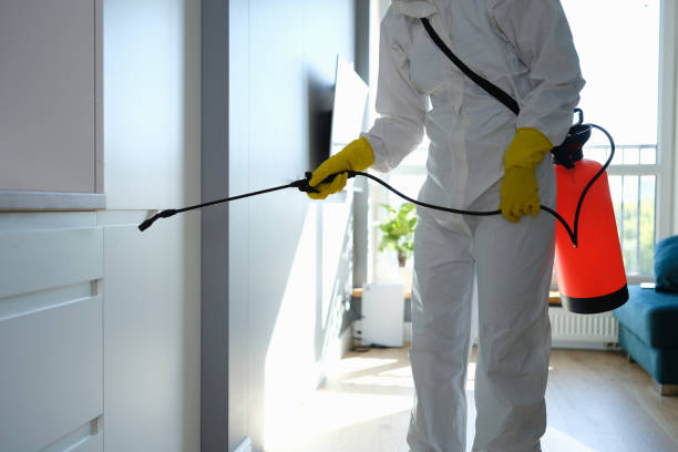 Mold Remediation for Rental Properties in Morenci, MI